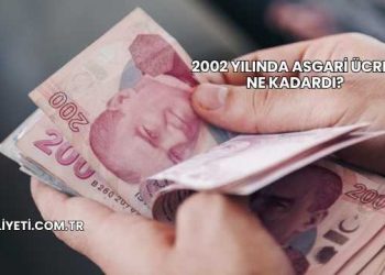 2002 Yılında Asgari Ücret Ne Kadardı?