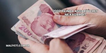 2002 Yılında Asgari Ücret Ne Kadardı?