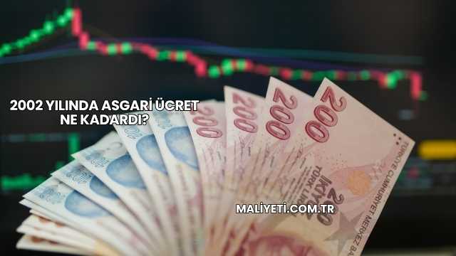 2002 Yılında Asgari Ücret Ne Kadardı?