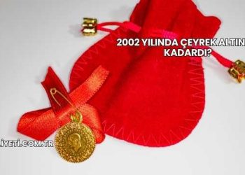 2002 Yılında Çeyrek Altın Ne Kadardı?