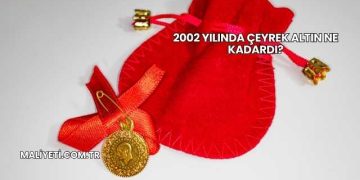 2002 Yılında Çeyrek Altın Ne Kadardı?