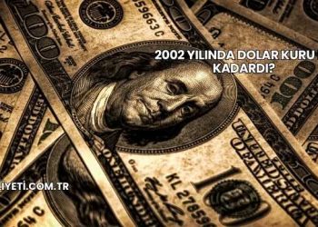 2002 Yılında Dolar Kuru Ne Kadardı?