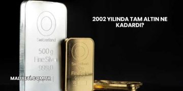 2002 Yılında Tam Altın Ne Kadardı?