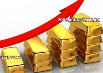 2003 Altın Fiyatları