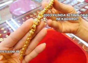2003 Yılında Altının Gramı Ne Kadardı?