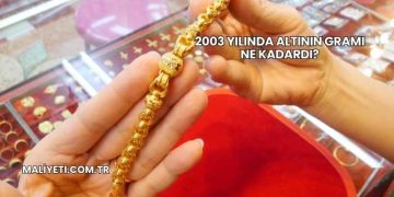 2003 Yılında Altının Gramı Ne Kadardı?