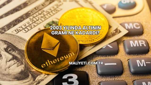 2003 Yılında Altının Gramı Ne Kadardı?