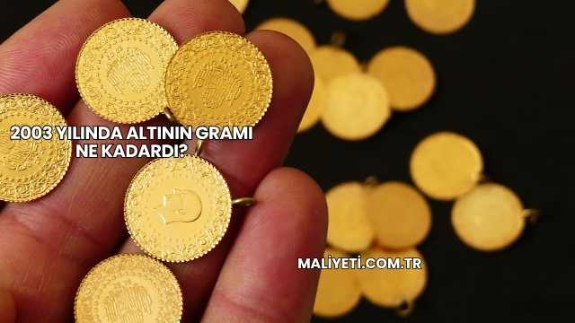2003 Yılında Altının Gramı Ne Kadardı?