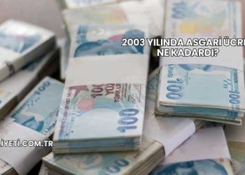 2003 Yılında Asgari Ücret Ne Kadardı?