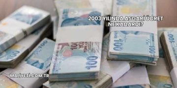 2003 Yılında Asgari Ücret Ne Kadardı?