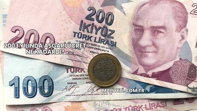 2003 Yılında Asgari Ücret Ne Kadardı?