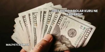 2003 Yılında Dolar Kuru Ne Kadardı?