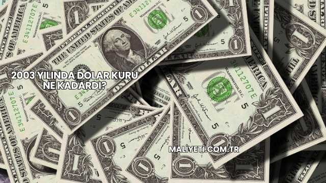 2003 Yılında Dolar Kuru Ne Kadardı?