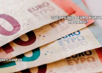 2003 Yılında Euro Kuru Ne Kadardı?