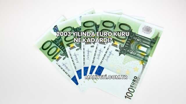 2003 Yılında Euro Kuru Ne Kadardı?