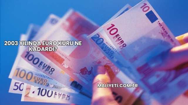 2003 Yılında Euro Kuru Ne Kadardı?