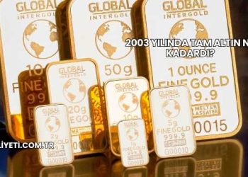 2003 Yılında Tam Altın Ne Kadardı?