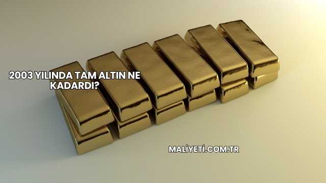2003 Yılında Tam Altın Ne Kadardı?