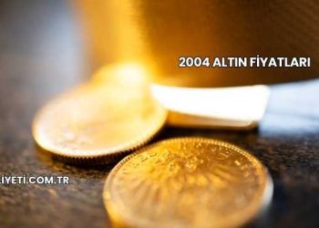 2004 Altın Fiyatları