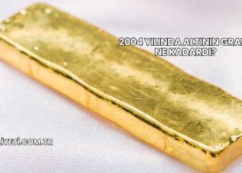 2004 Yılında Altının Gramı Ne Kadardı?
