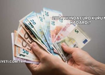 2004 Yılında Euro Kuru Ne Kadardı?