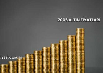 2005 Altın Fiyatları