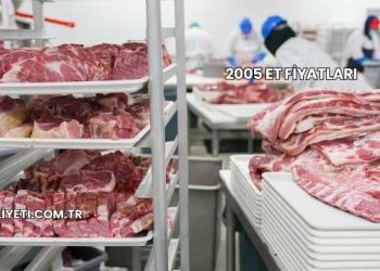 2005 Et Fiyatları
