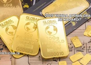 2005 Yılında Altının Gramı Ne Kadardı?