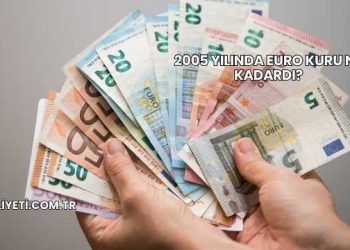 2005 Yılında Euro Kuru Ne Kadardı?