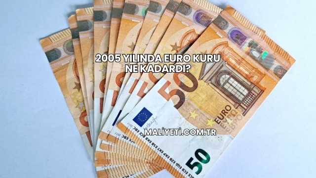 2005 Yılında Euro Kuru Ne Kadardı?