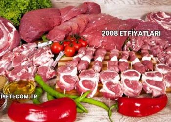 2008 Et Fiyatları