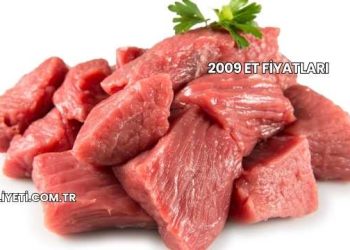 2009 Et Fiyatları