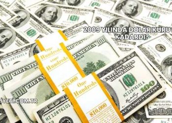 2009 Yılında Dolar Kuru Ne Kadardı?
