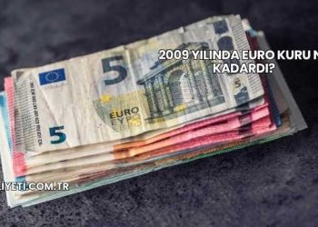 2009 Yılında Euro Kuru Ne Kadardı?
