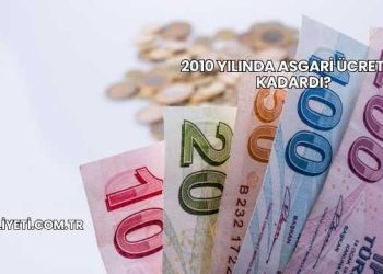 2010 Yılında Asgari Ücret Ne Kadardı?