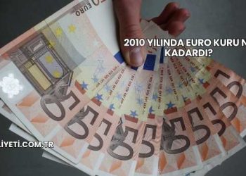 2010 Yılında Euro Kuru Ne Kadardı?