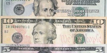 2011 Yılında Dolar Kuru Ne Kadardı?