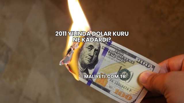 2011 Yılında Dolar Kuru Ne Kadardı?