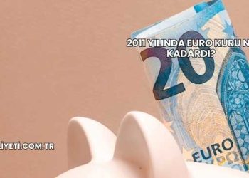 2011 Yılında Euro Kuru Ne Kadardı?