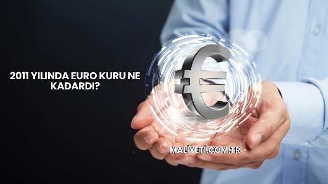 2011 Yılında Euro Kuru Ne Kadardı?