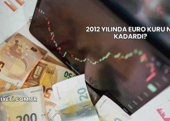 2012 Yılında Euro Kuru Ne Kadardı?