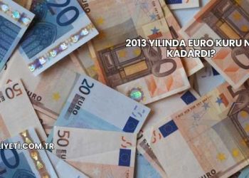 2013 Yılında Euro Kuru Ne Kadardı?