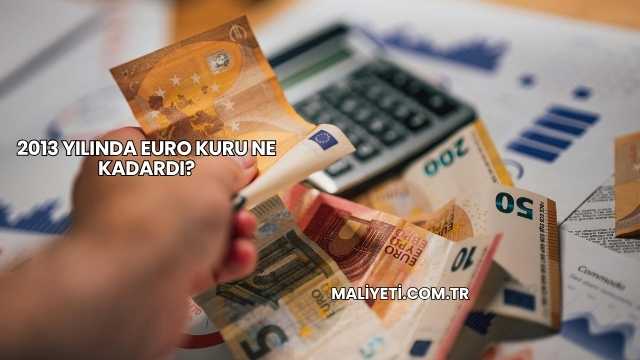 2013 Yılında Euro Kuru Ne Kadardı?