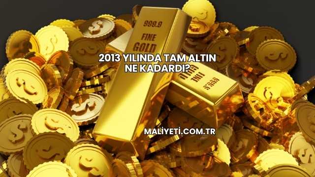 2013 Yılında Tam Altın Ne Kadardı?