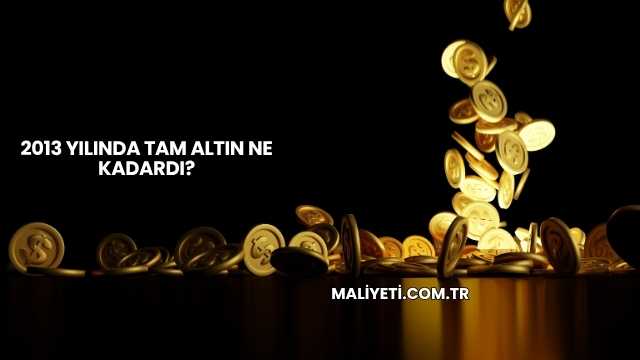 2013 Yılında Tam Altın Ne Kadardı?