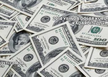 2014 Yılında Dolar Kuru Ne Kadardı?
