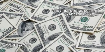 2014 Yılında Dolar Kuru Ne Kadardı?
