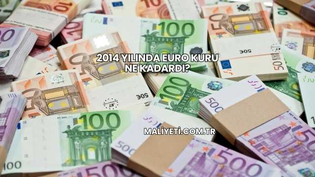 2014 Yılında Euro Kuru Ne Kadardı?
