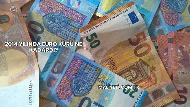 2014 Yılında Euro Kuru Ne Kadardı?