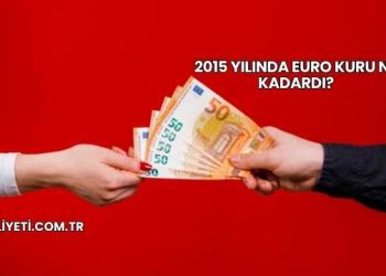 2015 Yılında Euro Kuru Ne Kadardı?
